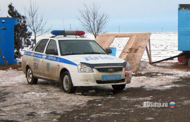 В Астраханской области волк напал на пост ГИБДД