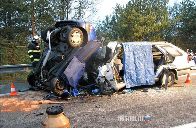 В Южночешском крае в ДТП погибли 3 человека