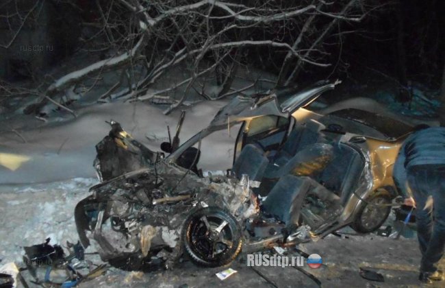 В Пермском крае в ДТП погиб 18-летний водитель