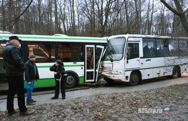 Два автобуса лоб в лоб столкнулись в Пушкине