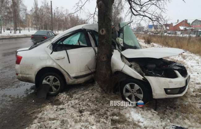 В Старом Осколе легковушка врезалась в дерево