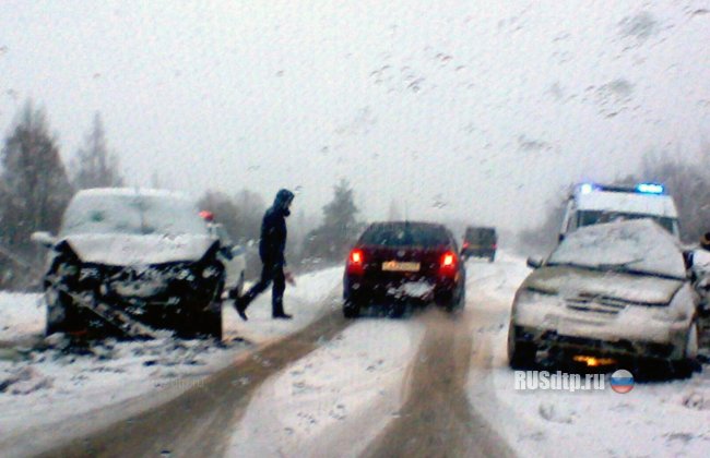 Три человека погибли в ДТП под Новгородом