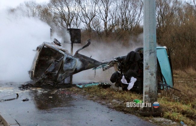 В Пушкине в результате ДТП водителю оторвало голову