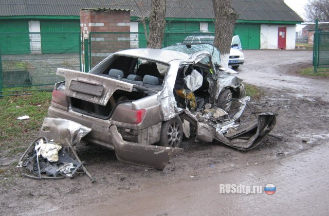 Два человека погибли при столкновении «Тойоты» с деревом на Кубани