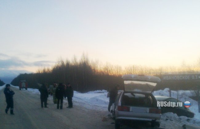 Два человека погибли и 5 пострадали в ДТП с учебным автомобилем под Костромой