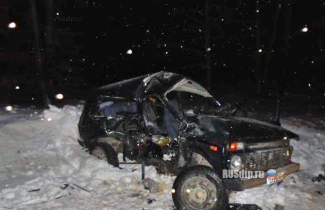 Три человека погибли в Пермском крае накануне Рождества