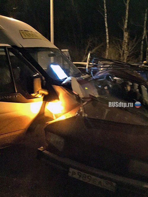 Двое погибли в ДТП с маршруткой в Щёлковском районе