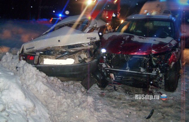 Два человека погибли на автодороге Нижний Новгород – Касимов