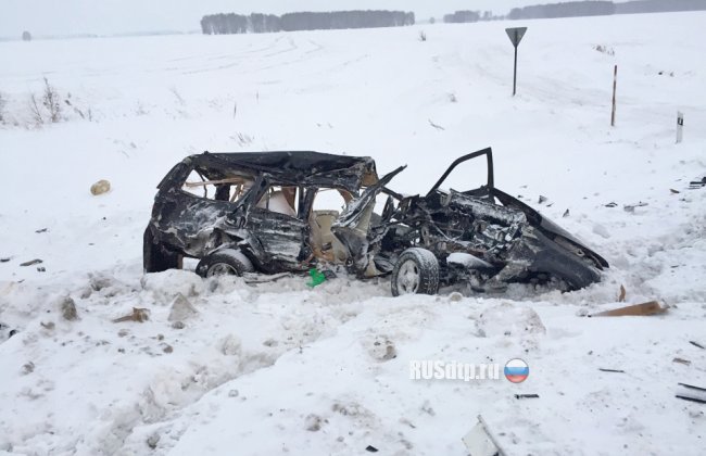Пожилые супруги погибли в ДТП на автодороге «Челябинск – Новосибирск»