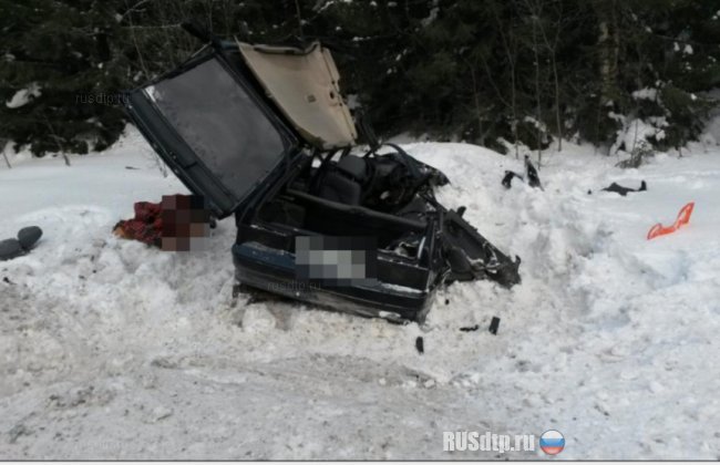 В Пермском крае в ДТП погибли два человека