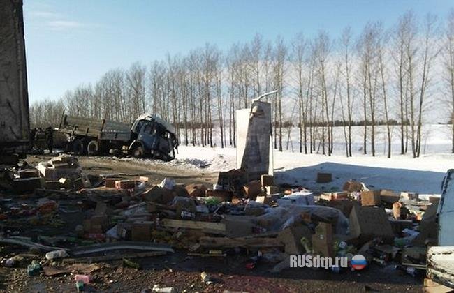 В Татарстане в массовом ДТП с участием большегрузов погиб человек