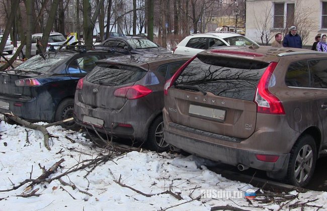 Дерево упало на три автомобиля на северо-востоке Москвы