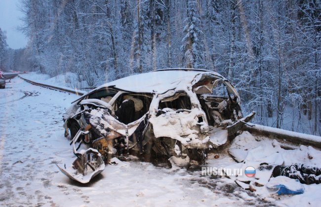 6 человек погибли при столкновении «Фольксвагена» с фурой  в Псковской области