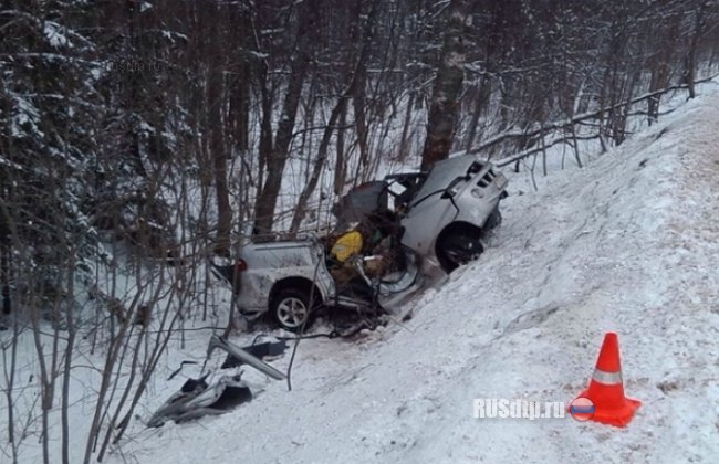 Смертельная авария в Псковской области