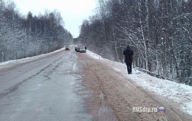 Смертельная авария в Псковской области