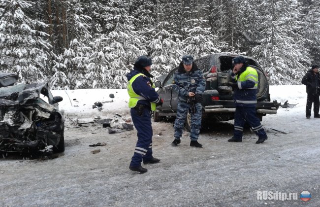 Три человека разбились в Кировской области