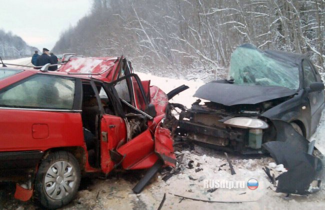Трое погибли при столкновении легковых автомобилей под Новгородом