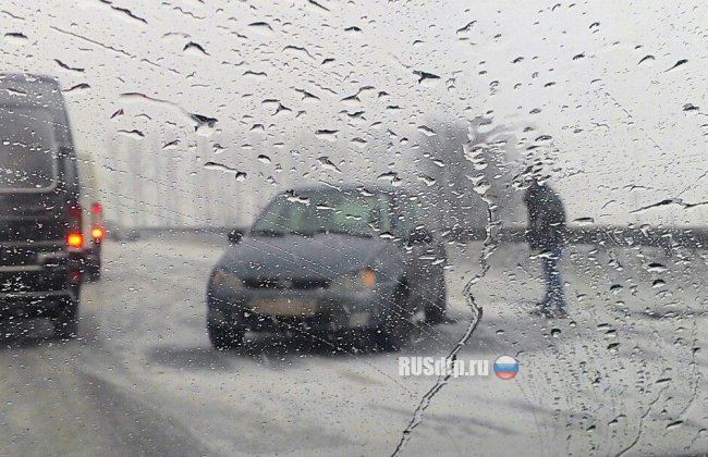 Более 50 автомобилей столкнулись под Петербургом