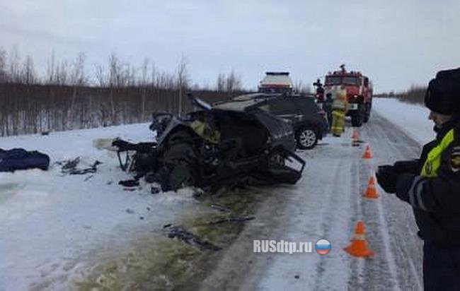Три человека погибли на автодороге Сургут &#8212; Салехард