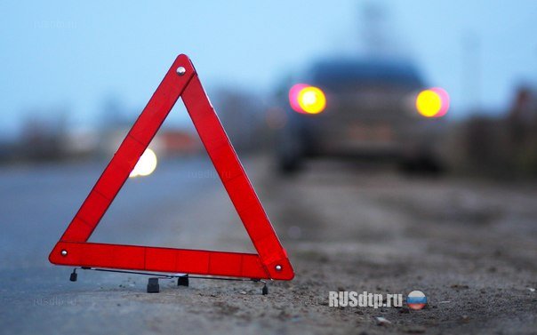 Двое взрослых и младенец погибли в ДТП на Егорьевском шоссе