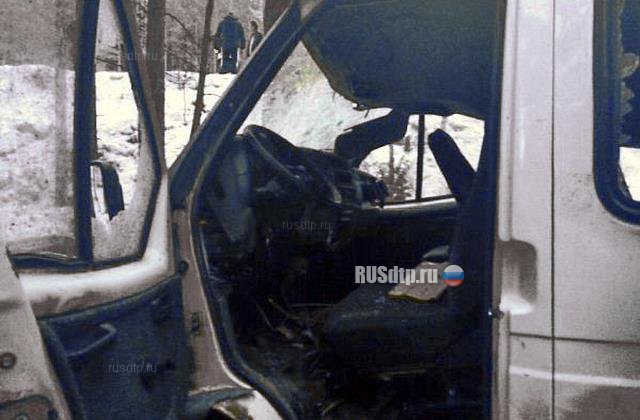 Два человека погибли в результате переворота микроавтобуса под Невьянском