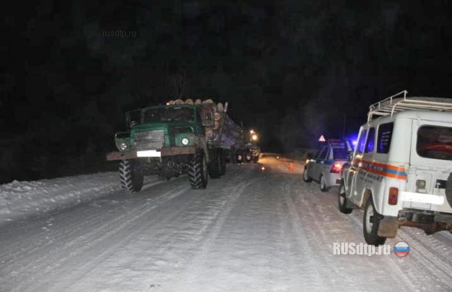Мужчина погиб при столкновении ВАЗ-2106 с лесовозом в Омской области