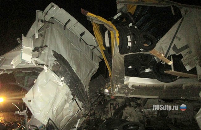 В ДТП с участием автобуса и грузовика на Урале погибли 3 человека