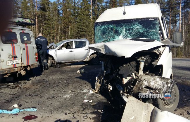 Ослепившее водителя солнце привело к крупному ДТП на трассе «Скандинавия»