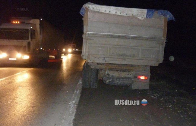 Двое погибли, врезавшись в ЗИЛ на автодороге «Цивильск-Ульяновск»