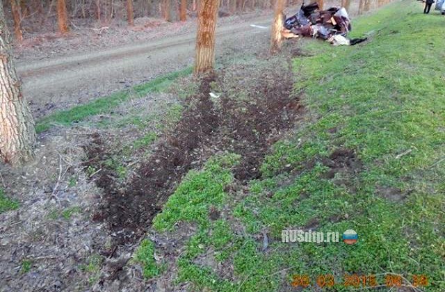 Два человека погибли при столкновении «Жигулей» с деревом на Кубани
