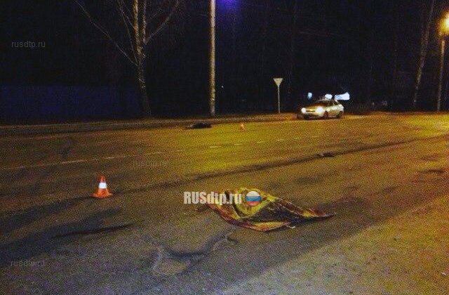 В Смоленске водитель «Инфинити» насмерть сбил девушку с собакой и скрылся с места ДТП