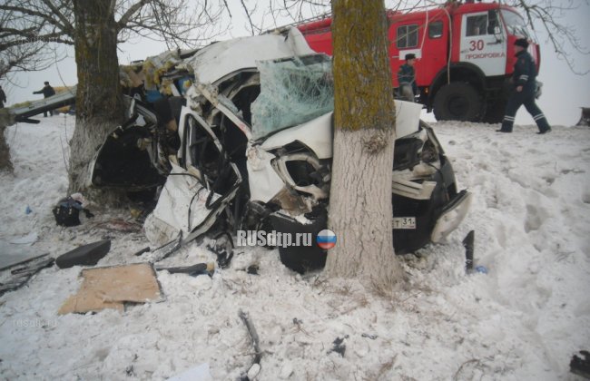 Микроавтобус врезался в дерево под Белгородом. Погиб человек