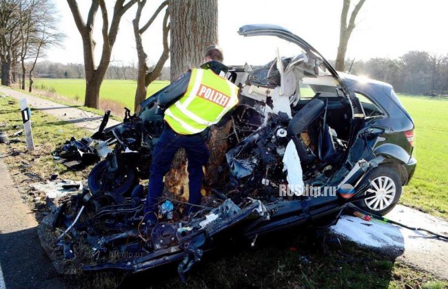 Mercedes уничтожился об дерево. Погиб водитель