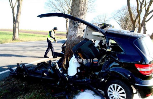 Mercedes уничтожился об дерево. Погиб водитель
