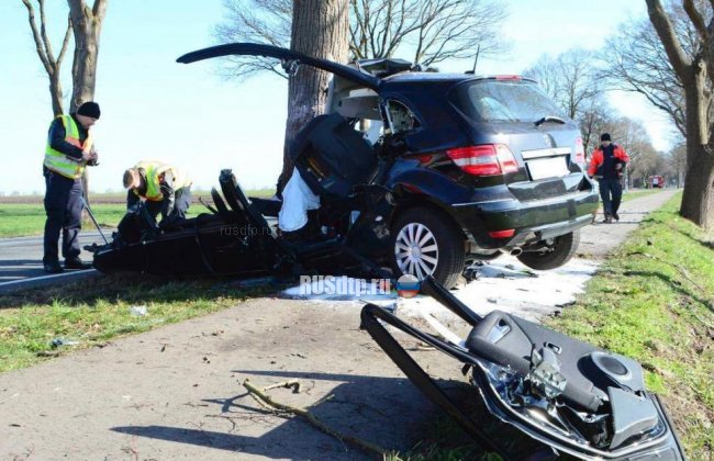 Mercedes уничтожился об дерево. Погиб водитель