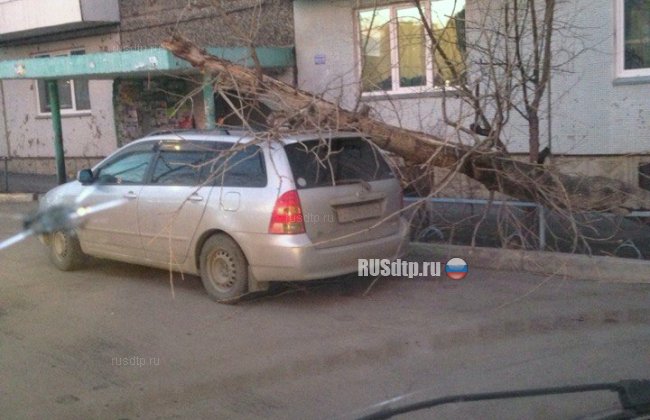 В Красноярске ураганный ветер ломал деревья и сносил крыши с домов