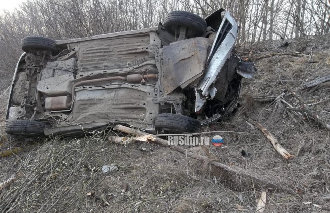 Водитель и пассажир погибли в перевернувшемся автомобиле в Тульской области