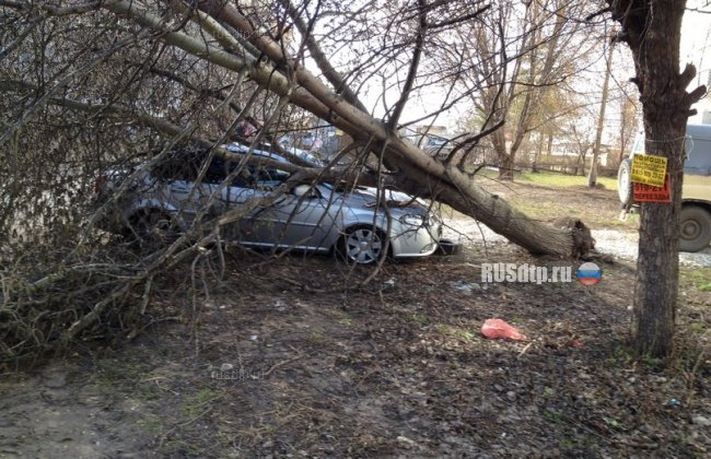 В Рязани дерево повредило машину