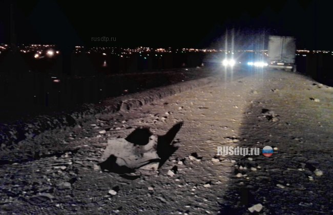 В Волгограде водитель насмерть сбил пешеходов и скрылся