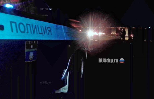 В Волгограде водитель насмерть сбил пешеходов и скрылся