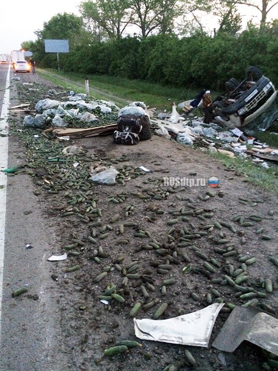 Дальнобойщик устроил смертельное ДТП в Воронежской области