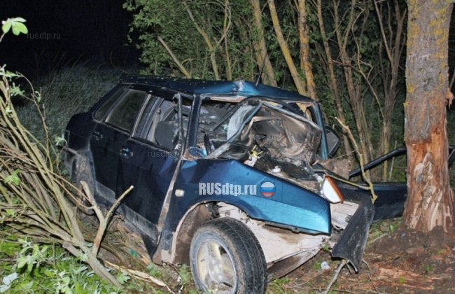 Двое погибли при столкновении ВАЗ-21099 с деревом в Псковской области