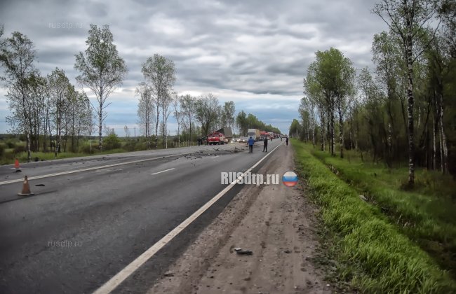 Два легковых автомобиля и фура столкнулись на трассе М-10 «Россия»