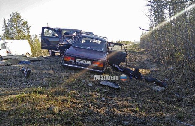 В Мурманской области в ДТП с участием полицейских погибли 4 человека