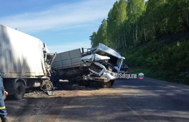 Два грузовика столкнулись на автодороге Пермь-Екатеринбург