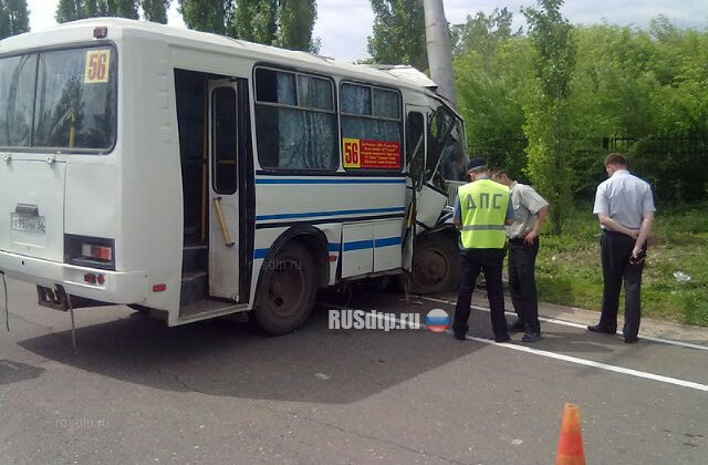 В Оренбурге укусившая водителя автобуса оса спровоцировала ДТП