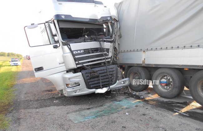 Видео массовой аварии грузовиков на трассе М-5