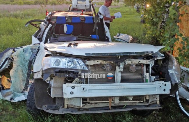 В Салавате «Geely» врезался в дерево. Водитель погиб, а пассажир &#8212; в реанимации