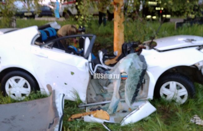В Салавате «Geely» врезался в дерево. Водитель погиб, а пассажир &#8212; в реанимации