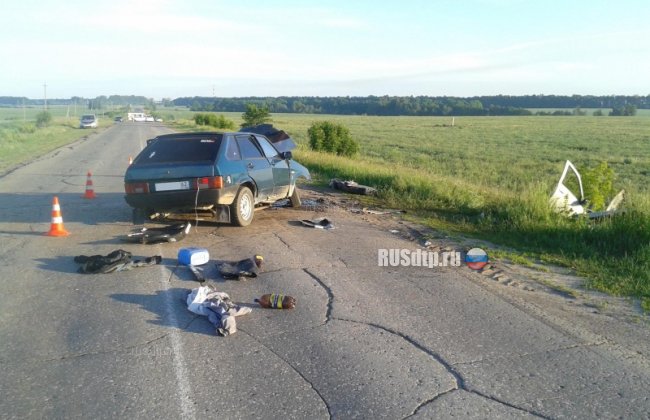 Две "Лады" лоб в лоб столкнулись в Рязанской области
